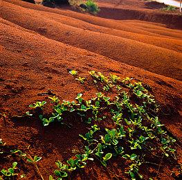 《最终幻想起源》新系统情报 上位职业及铁匠等公开